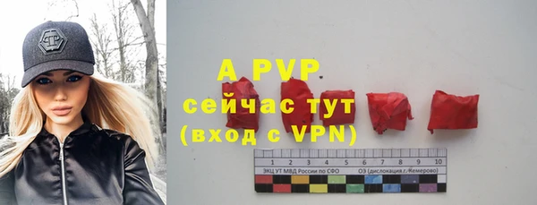 сатива Белоозёрский